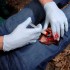 Аппликатор гемостатический с гранулами Rhino Rescue в Коломне хитозановый